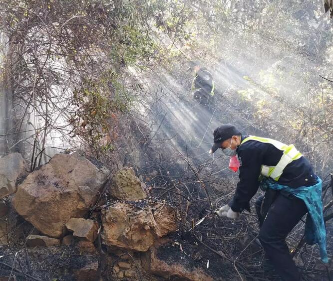 高明凌云山森林山火全部扑灭！感谢南海最美“逆行者”