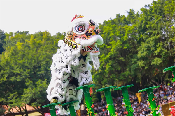 优秀！佛山舞狮登上学习强国平台！