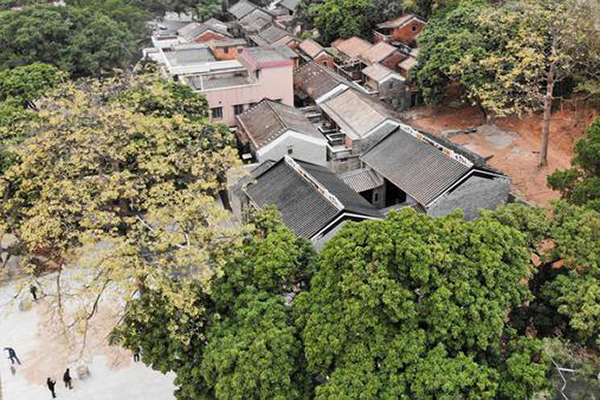 云东海欧南村：藏身闹市中的岭南古村，焕发新魅力