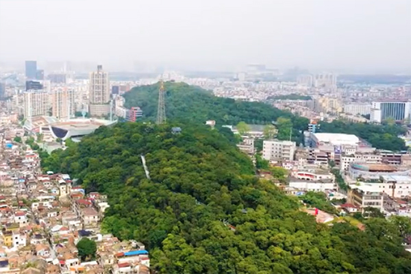 佛山顺德：藏于闹市的空中绿洲 许你一片绿意来抒怀