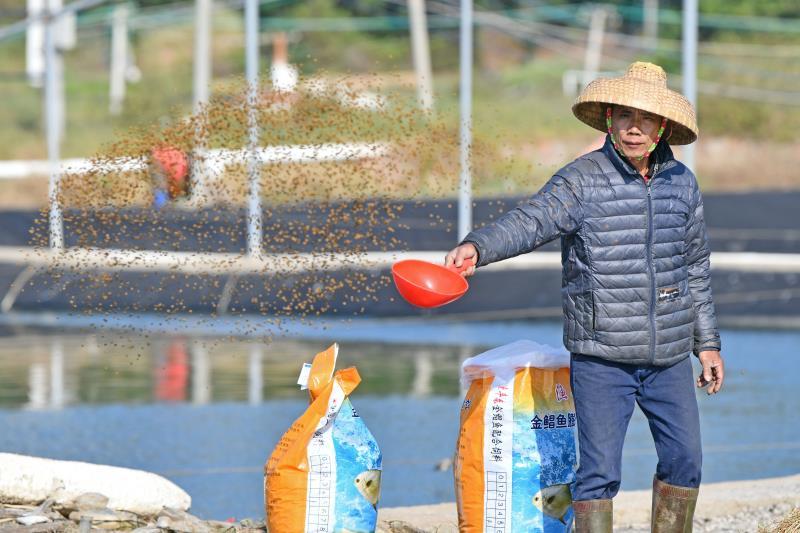 佛山顺德为湛江贫困户打开“致富门”