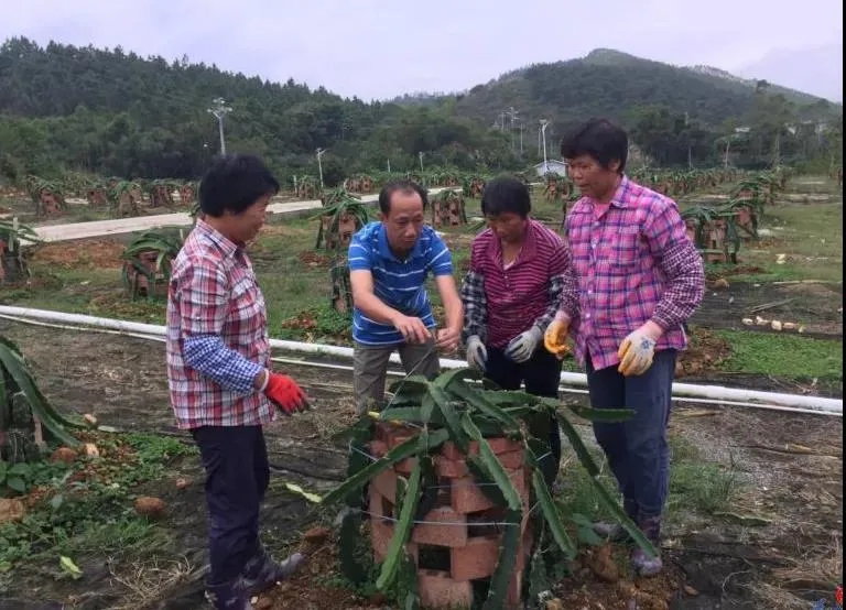 李松庆：驻村扶贫第5年，你从小学生变成高中生