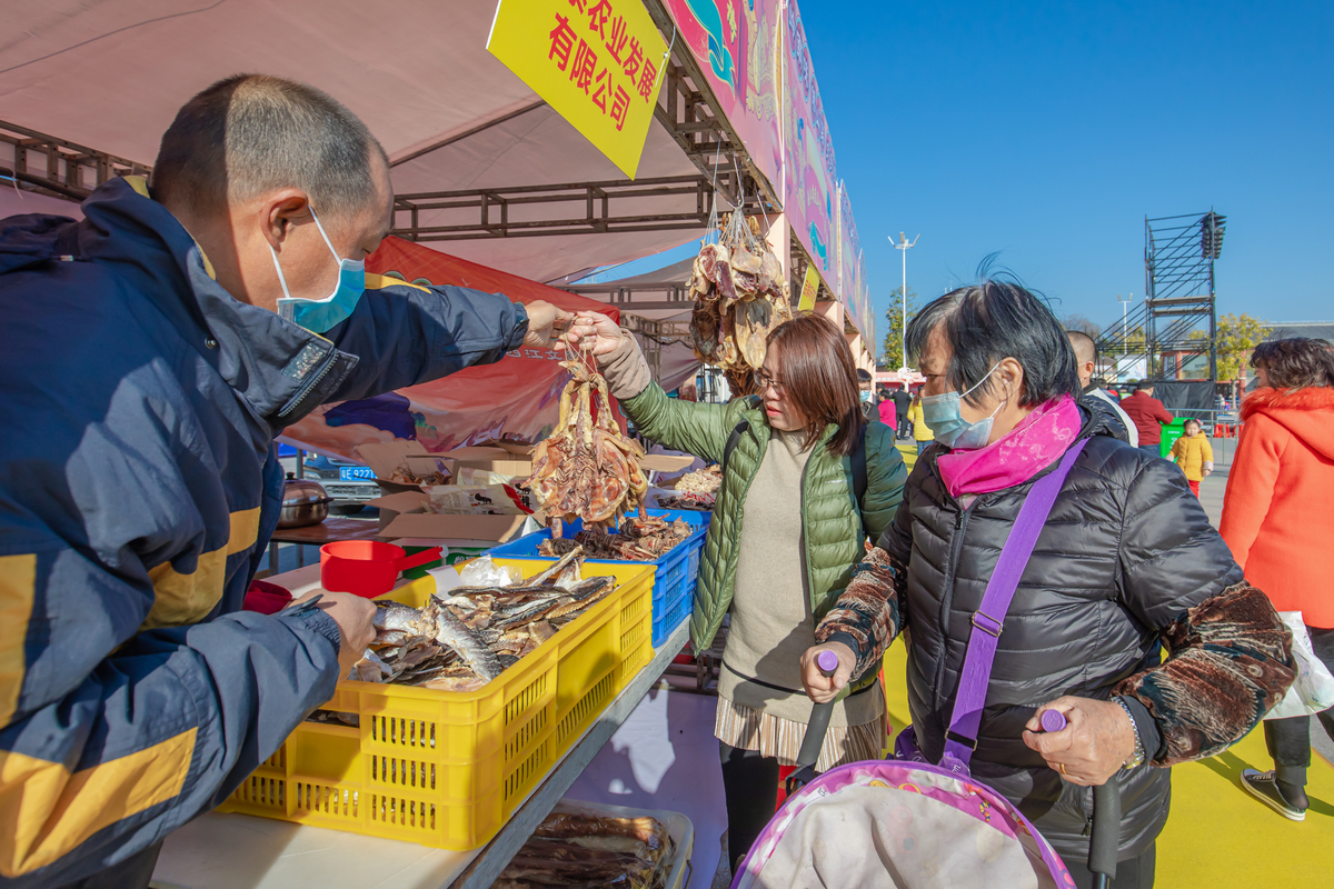 三大目标五大计划！今年三水白坭力促产业跃级城市蝶变乡