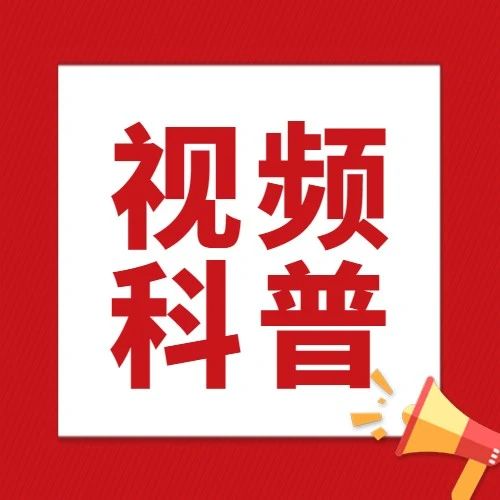 小孩、老人没有粤康码怎么办？