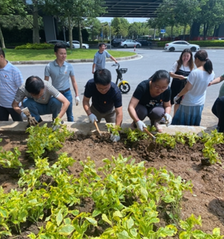 “我为群众办实事”实践活动：共治社区环境 共享友谊林