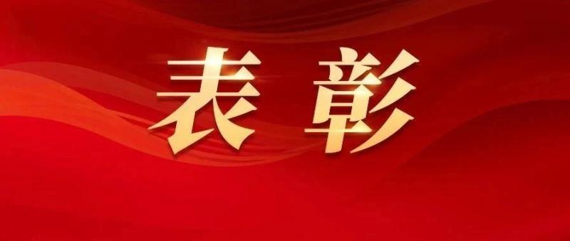 榜样的力量，为南庄镇各级“两优一先”表彰对象喝彩！