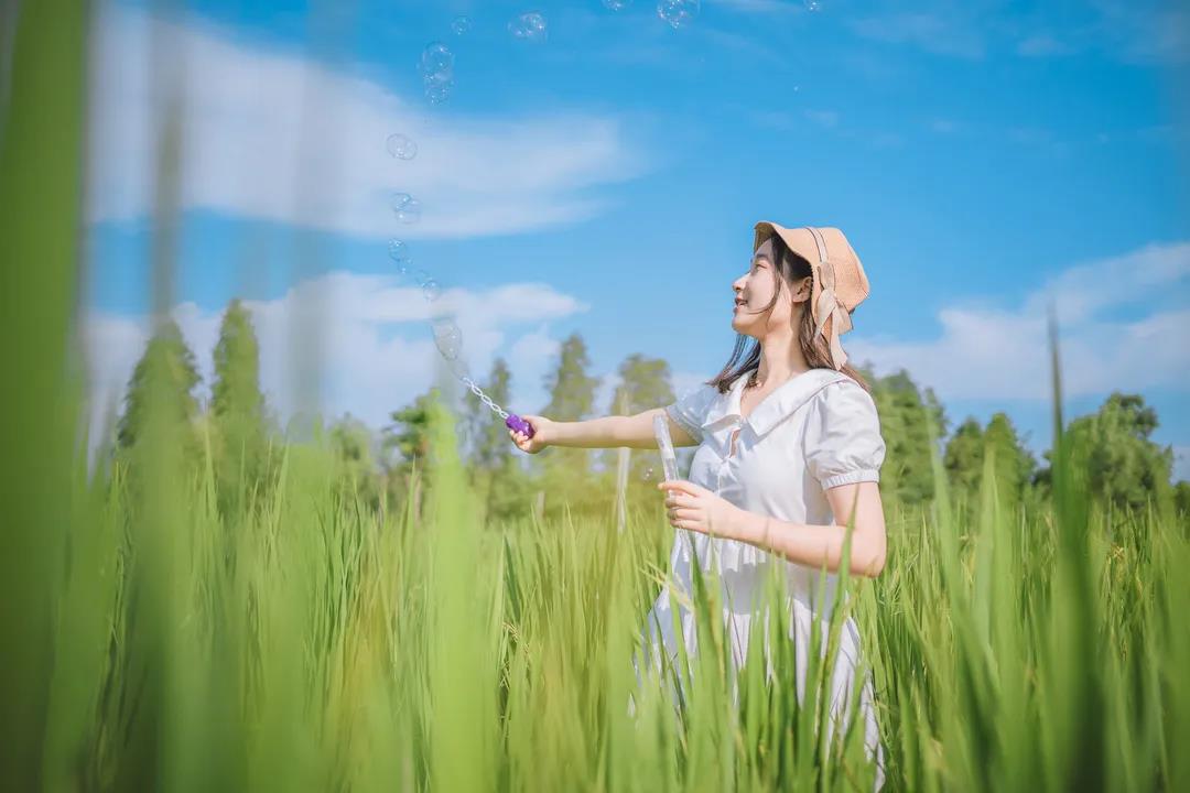 连片10亩稻田，佛山绿色原野美翻了！