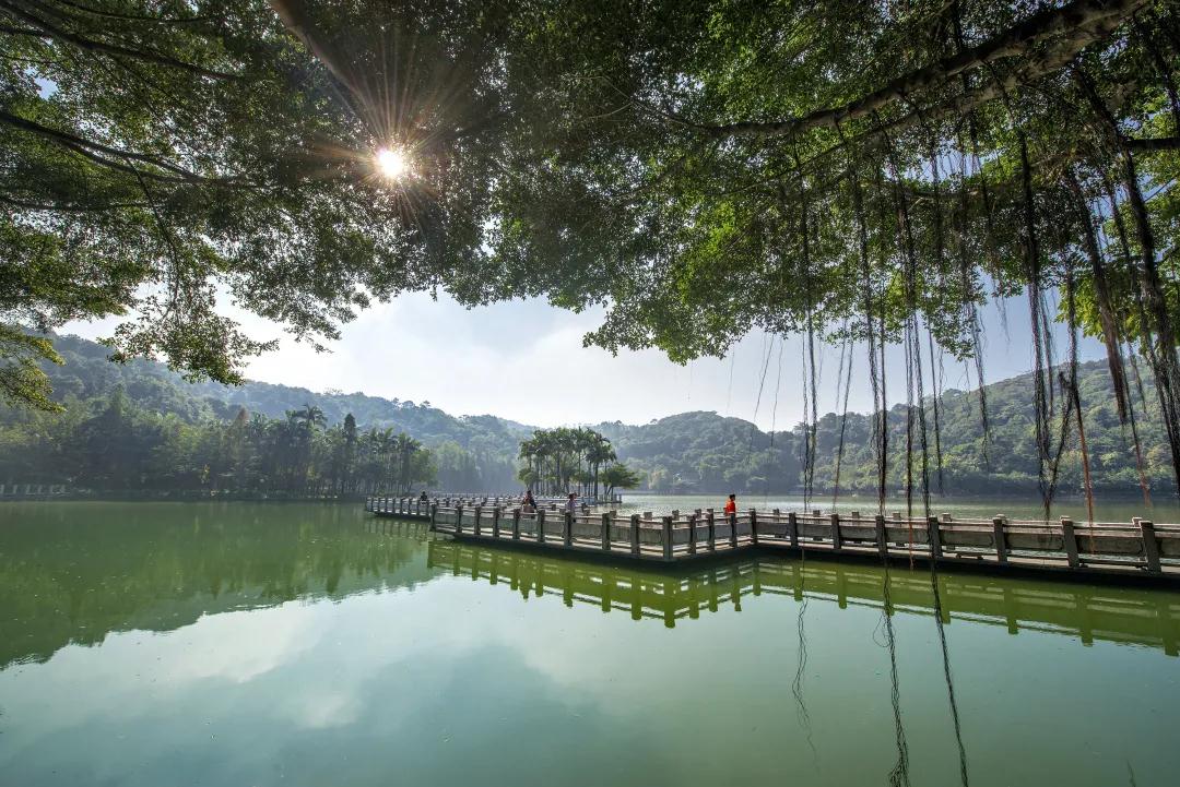 快来，解锁佛山26℃的夏天！