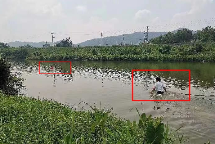 暖心|佛山这位村书记谭荣坚奋勇入水，救人视频刷屏朋友圈