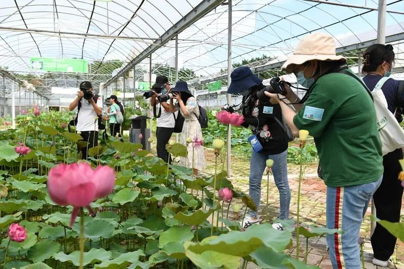 “佛山奇趣环保营”走进三水