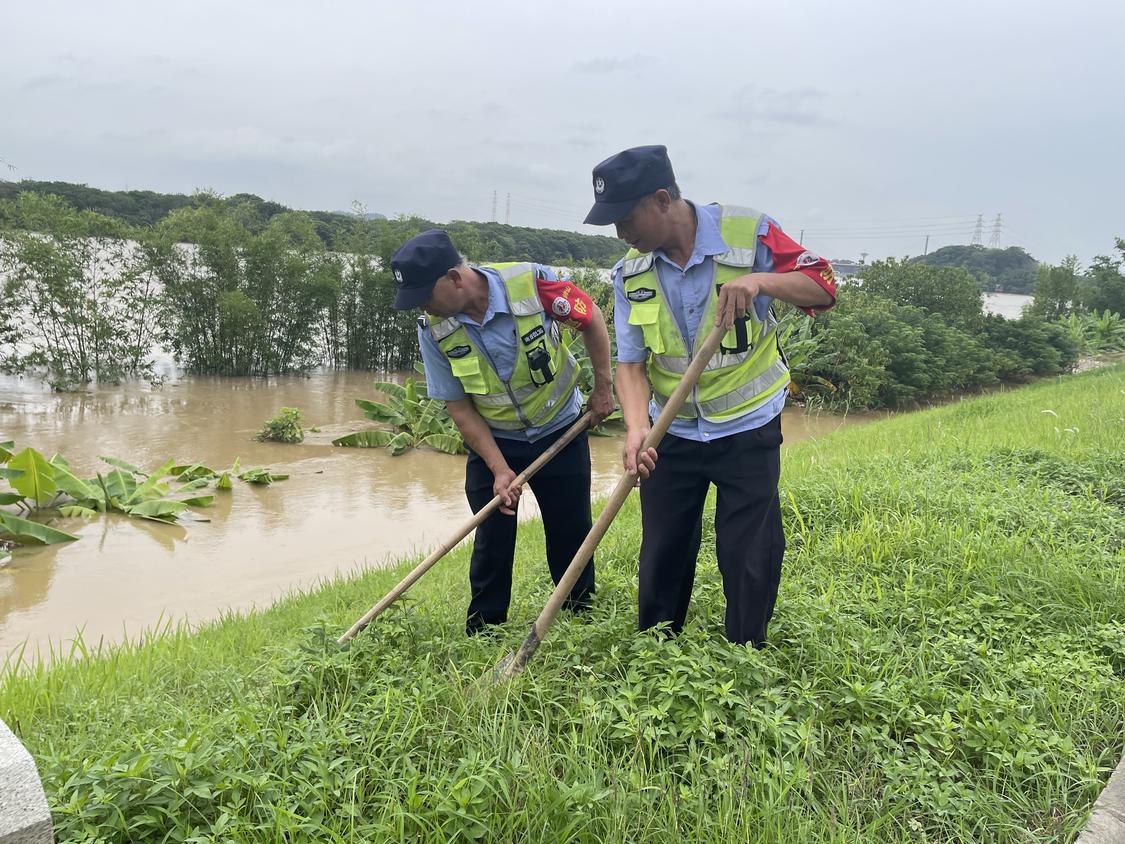 眼观耳听手探！禅城巡堤人员24小时随时在线