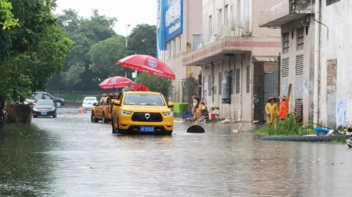 志愿之城 | 连降大雨，佛山菠萝救援队”兵分十路”排涝除