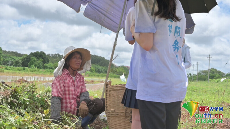 佛山学子三下乡：访阡陌寻绵绵瓜瓞，入草市探覃巴民意