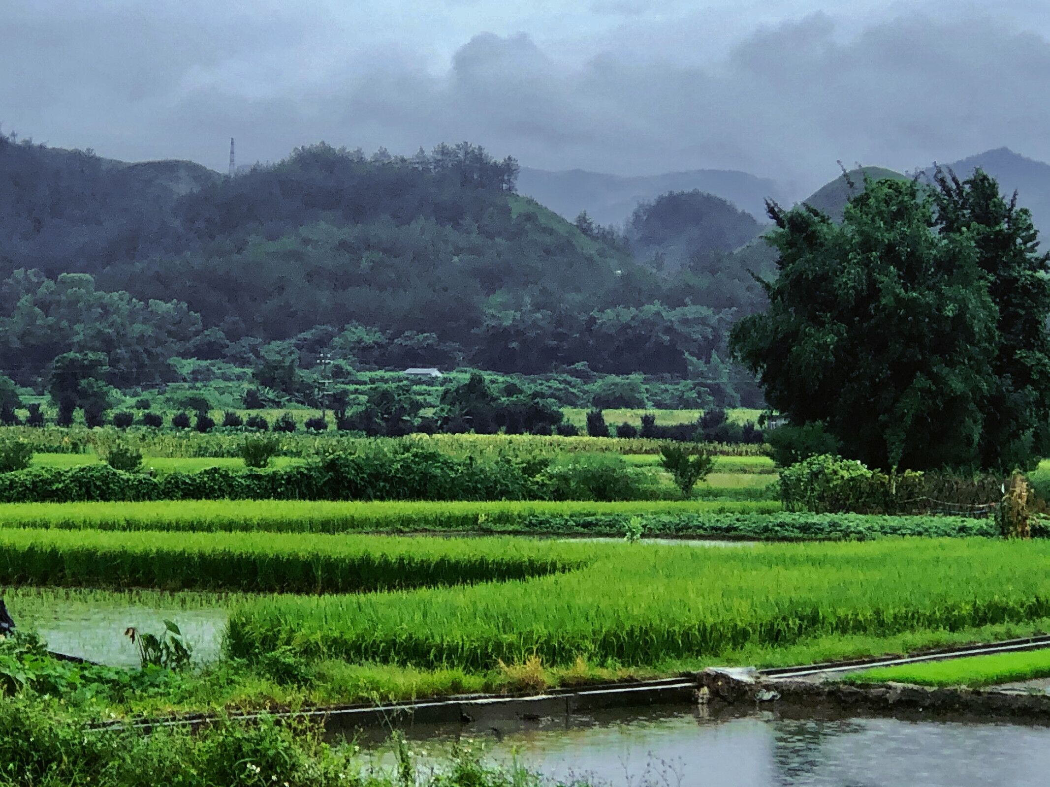 欣赏灵潭风景，感受美丽乡村