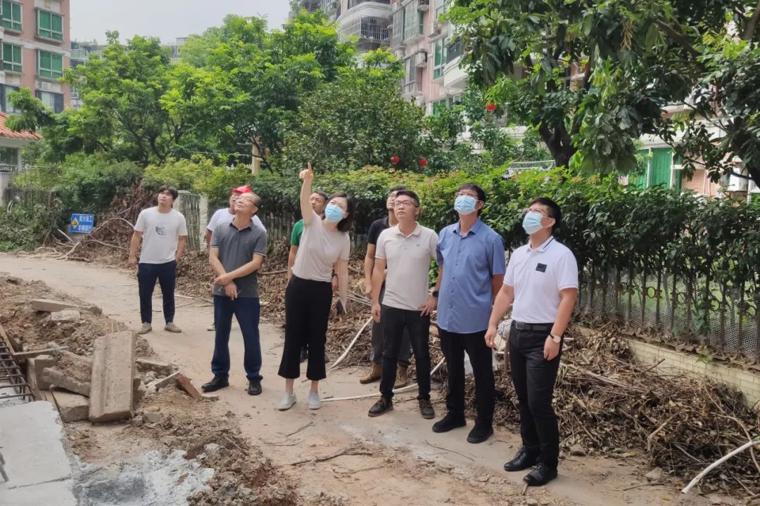 未雨绸缪，佛山市自然资源局打好“台风地灾防御战”