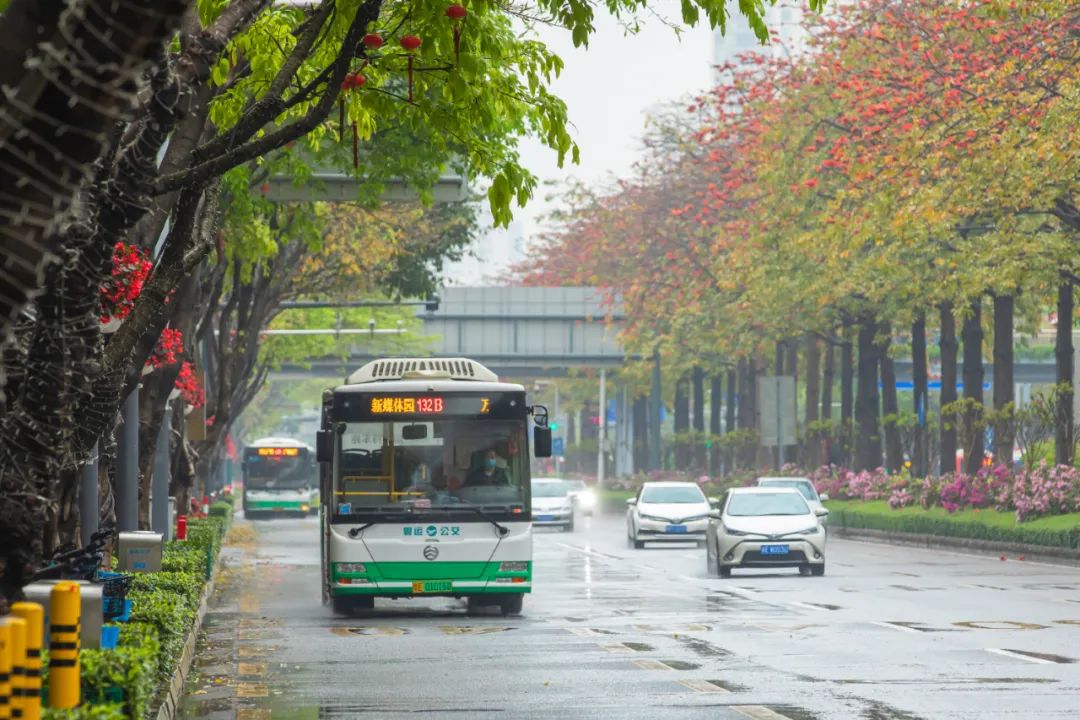 从细微处做好公交服务，佛山公交擦亮城市窗口