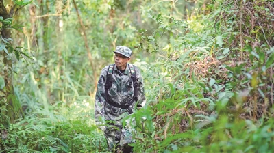 三水南山护林员徐奕新：扎根大山二十三载，用青春守护一片绿