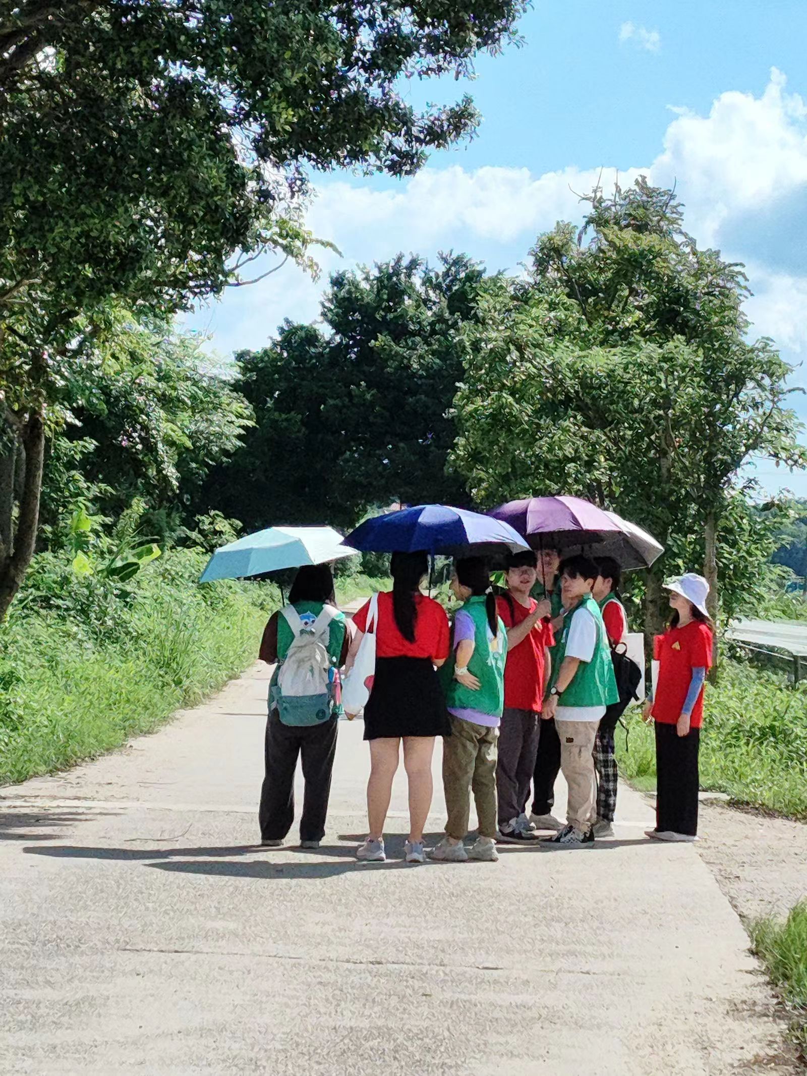 艳阳高照夏日美好，佛大学子共聚一堂