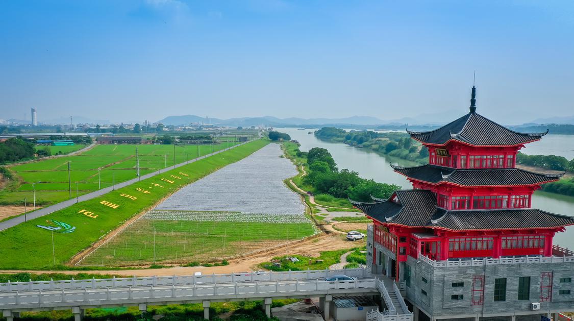 让河道“流金淌银”！佛山入选广东省全域水经济试点城市