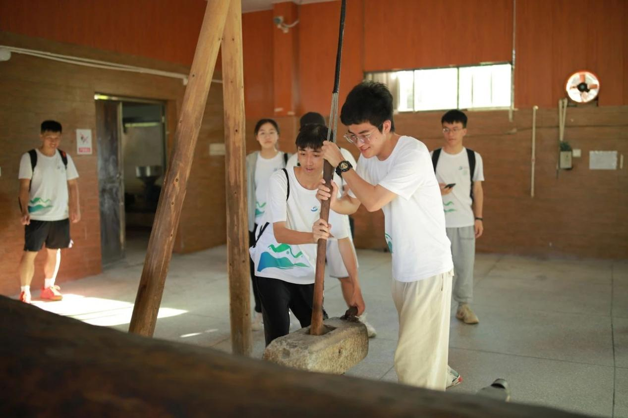 莓丽乡村走进龙川：探古法茶油之奥秘，用乡土味道铺就乡村振兴“共富”路