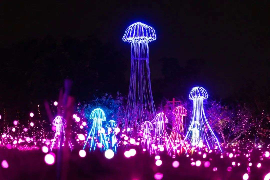 梦幻灯光秀！佛山这里超出片
