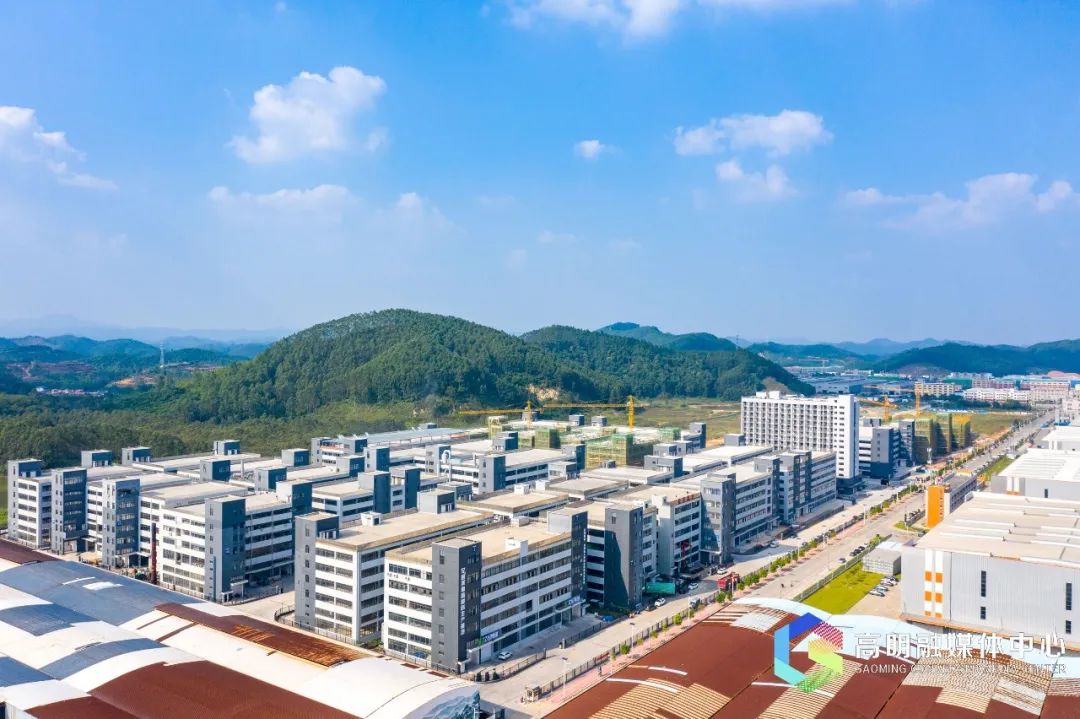 以高明高质量之“进”，为佛山现代化建设大局增光添彩