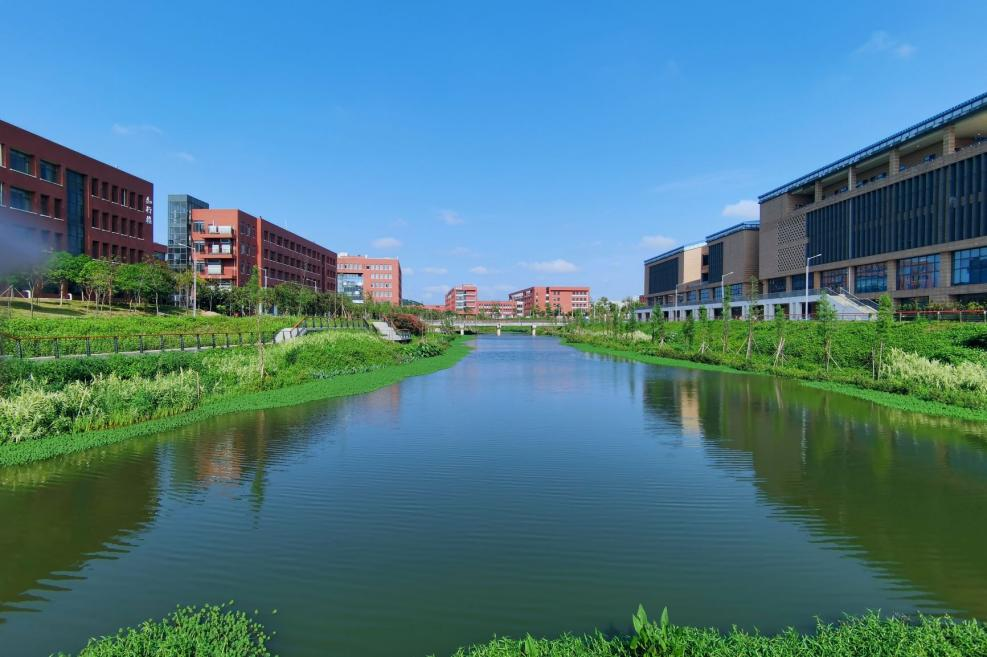 佛科院师生荣获广东省第七届大学生艺术展演活动多个奖项！