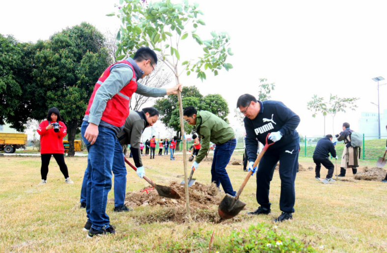 党群同心、企业助力，伦教掀起植绿热潮，点亮乡村春色