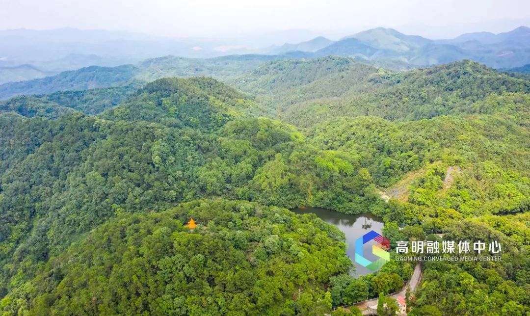保护野生动物，以林长制守护生态文明！