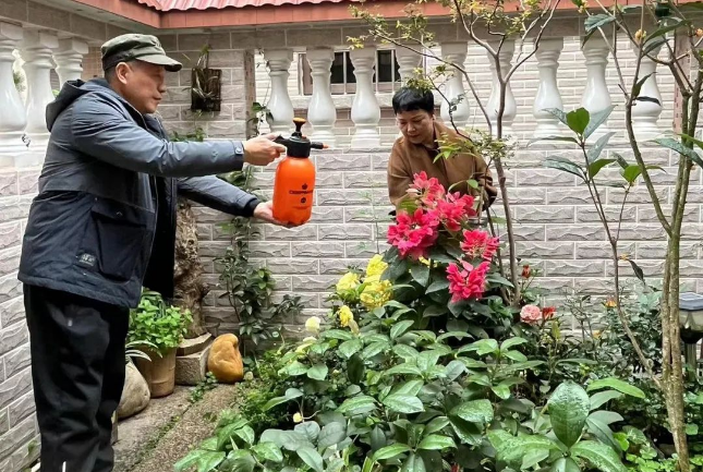 美丽庭院里的幸福时光⑤丨院种四季花，方寸之间皆美景