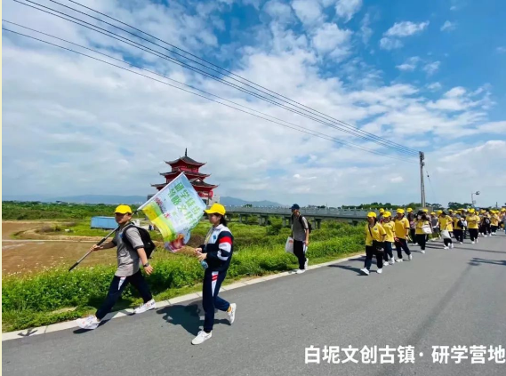 趣·春游丨春暖花开，我们到白坭研学去~~~