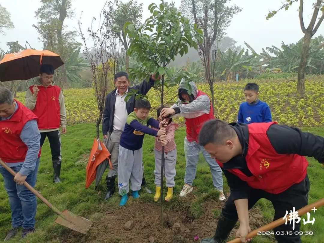 认领一棵有“身份证”的树，他们小手拉大手共建美好家园！