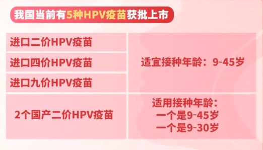 HPV疫苗价格大跳水？打之前，这些重点要知道→