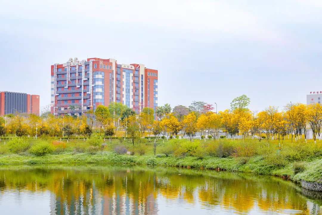 教育部批了！你好，佛山大学