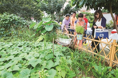 从“一处美”到“一片美”