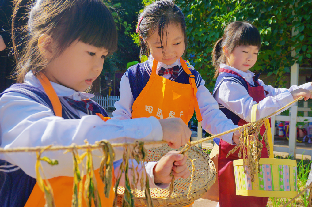 科学启迪，创新引领！佛山以科学保教促幼儿园内涵提升