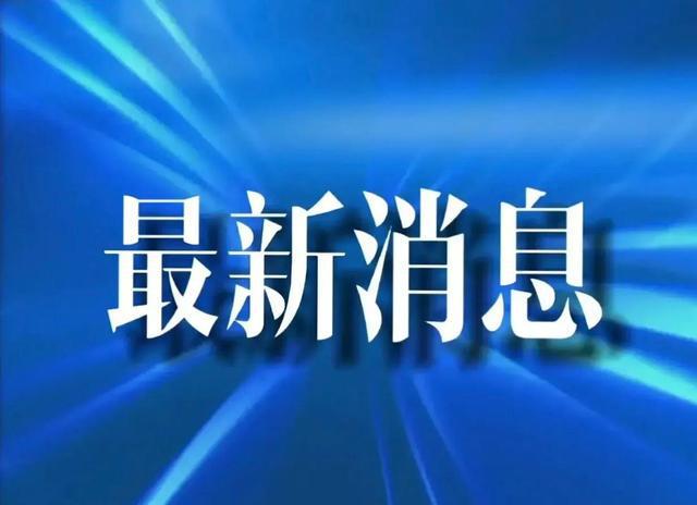 最新！高明区市场主体达5.28万户！这些行业最多人做…