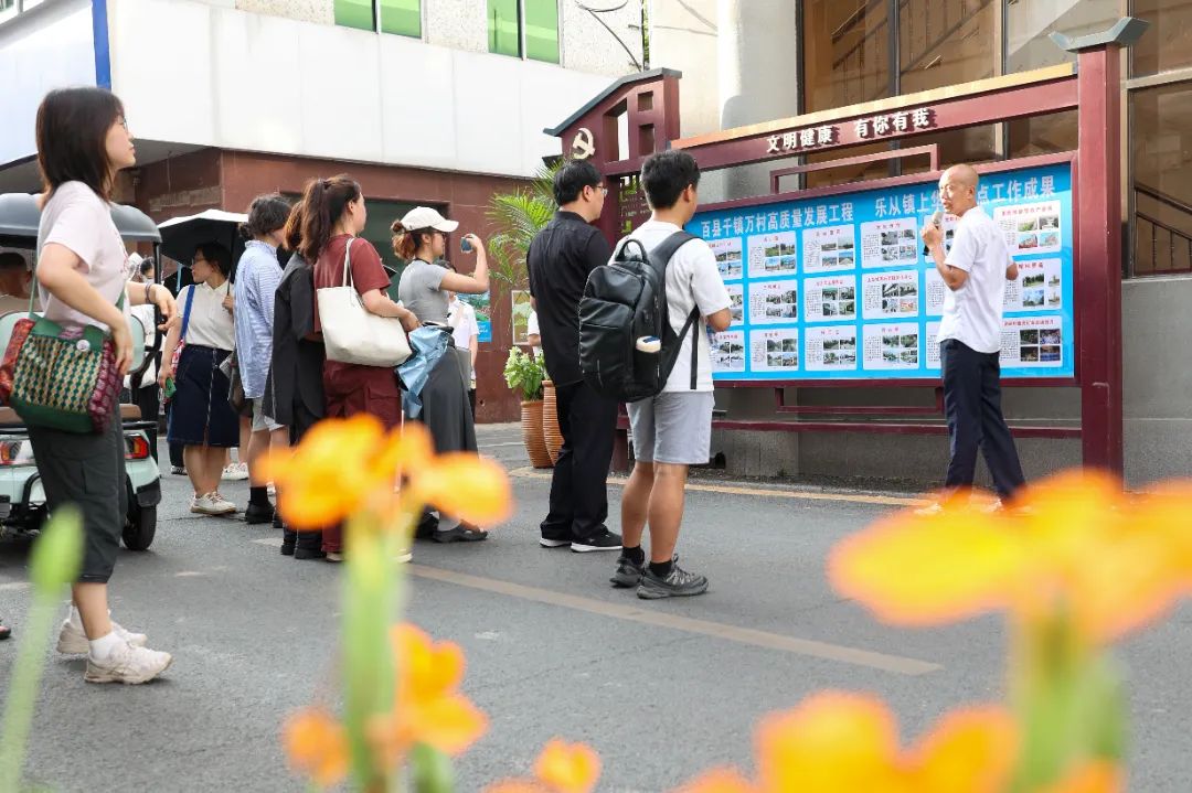 顺德乡村微改造，清华、北师大、同济等名校学子来助力！