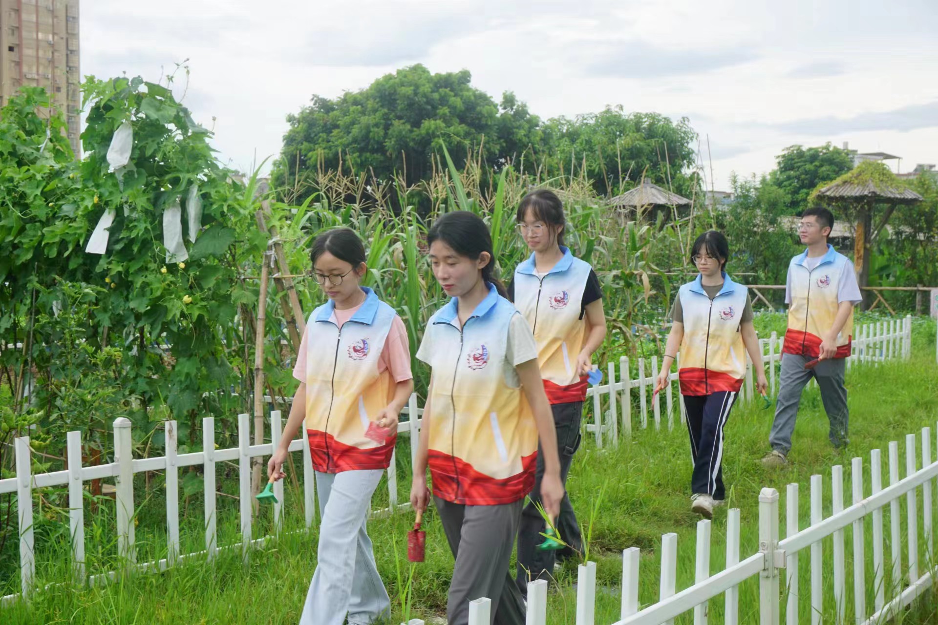 法润凤城实践队：绿美同行，和谐共享