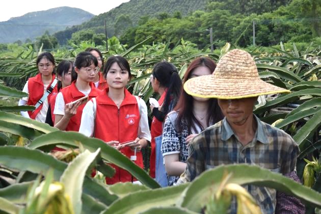 探“果”乡村振兴新路径，共谋高明“红”火新篇章——佛山大学红筑湾区青年队赴君林火龙果场调研纪实