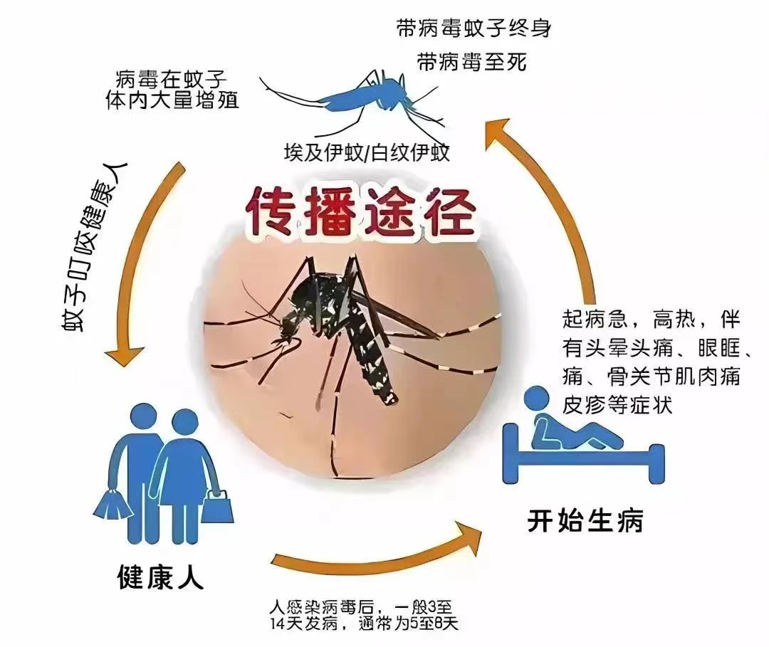 多地确诊！无疫苗无特效药！有这些症状千万警惕→