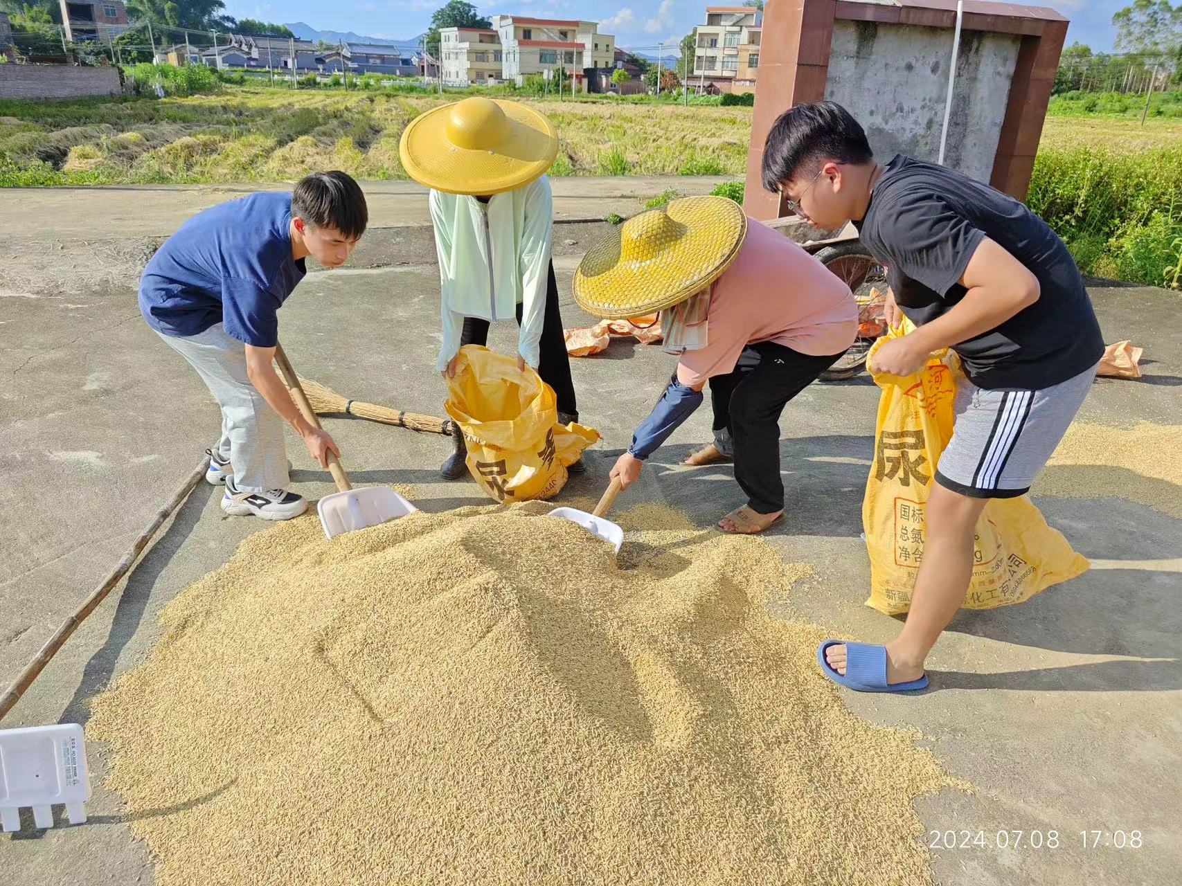 三下乡一佛大学子｜开怀行实践团乡聚农村，共赴青春