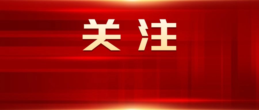 五届区委第五轮常规巡察第一巡察组向区市场监管局党组反馈巡察情况