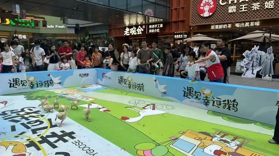 文明不设限！看佛山如何用“花式活动”圈粉全龄段居民