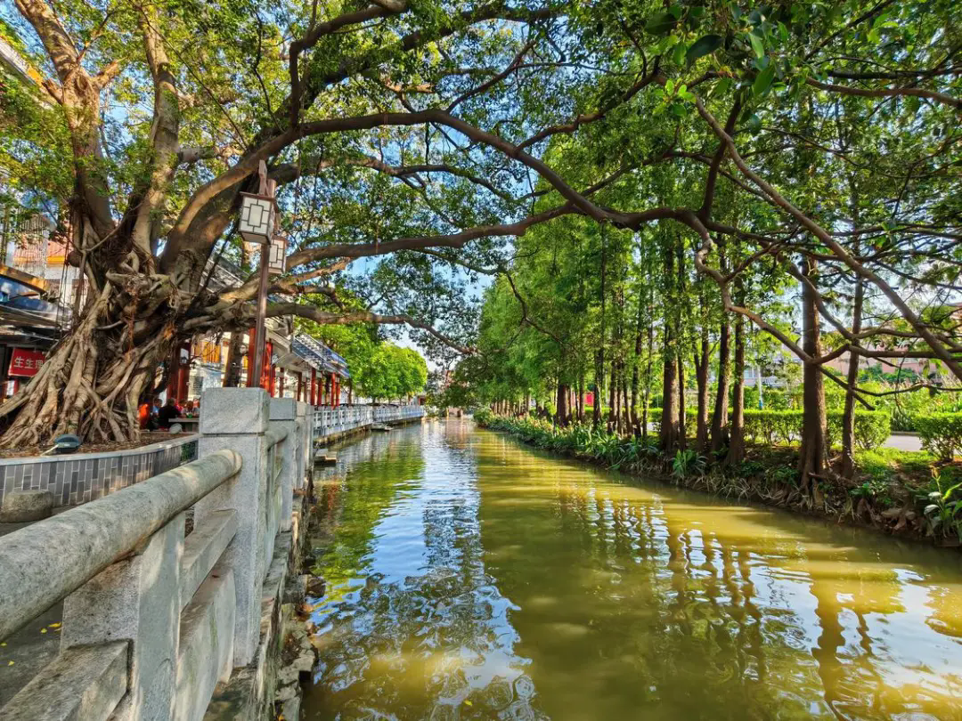河长制赋能绘就绿韵水乡新画卷，湖涌村邀您共赴“水美之约” ~ l 治水攻坚