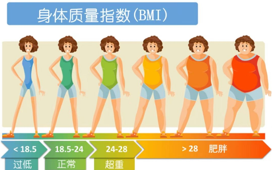 摆脱大肚腩，中医外治来“支援”！