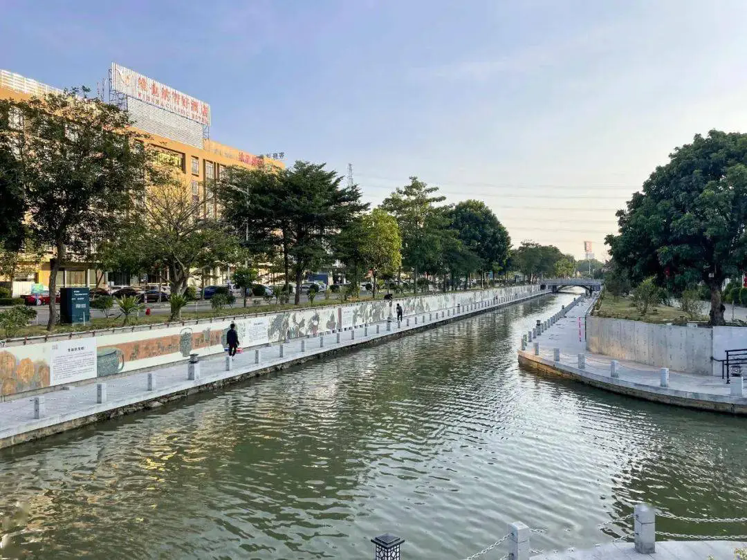 “水+N”模式出圈！佛山禅城做好“水经济”文章，促一城碧水“流金淌银”