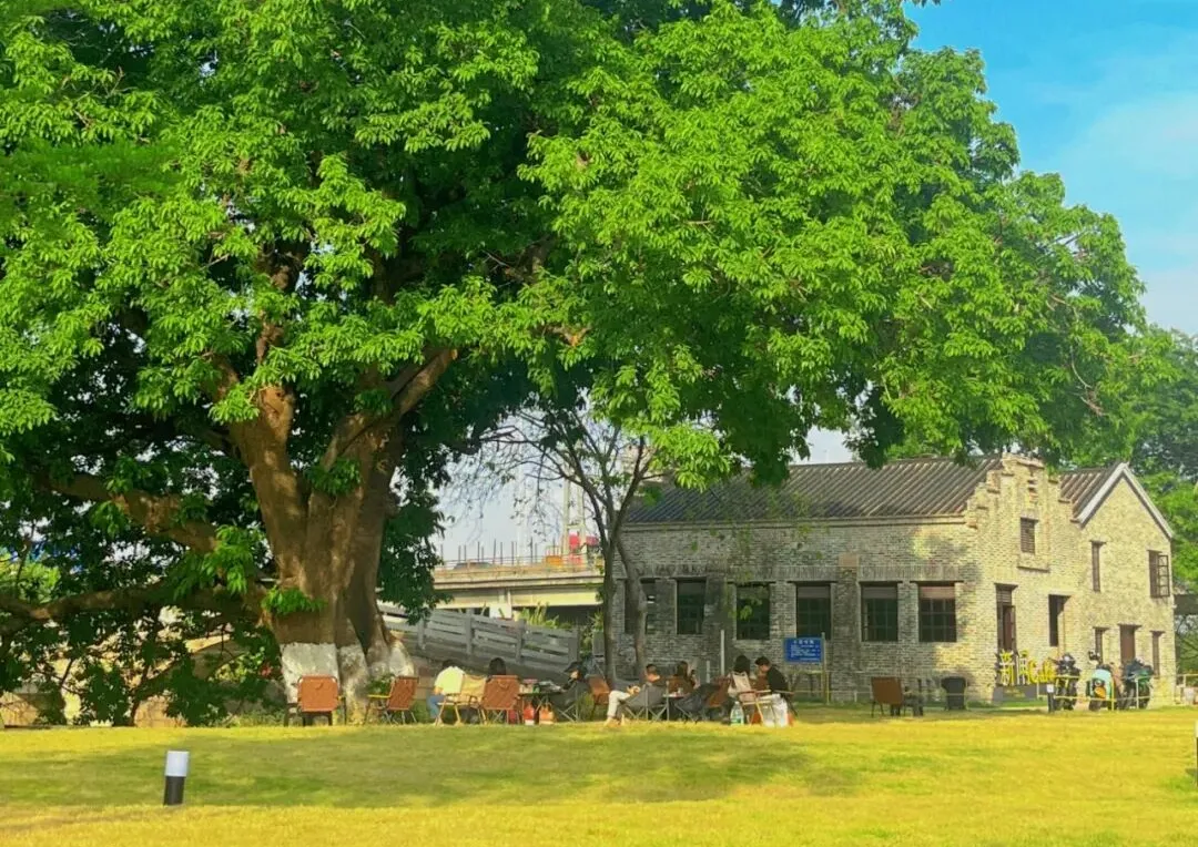 当水闸遇见咖啡，一起聆听这场跨越百年的对话~ l 环两江先行区全域治水兴水⑤