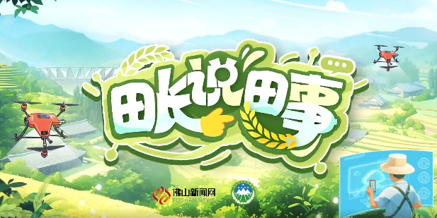 粮田变良田 ！三水这样&ldquo;点荒成金&rdquo;&rarr;