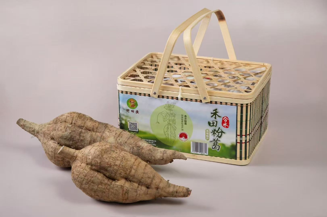 喜报！高明&ldquo;合水粉葛&rdquo;成功获颁&ldquo;湾区认证 &rdquo;